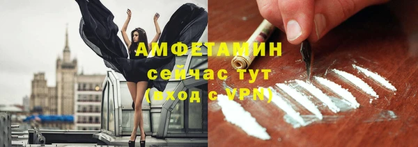 прущие грибы Покров
