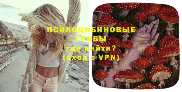 ГАЛЛЮЦИНОГЕННЫЕ ГРИБЫ Балабаново