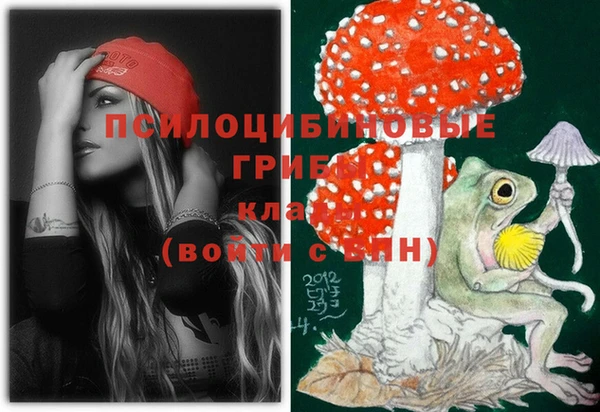сатива Снежногорск